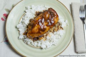 BBQ Cranberry Chicken slow cooker recipe