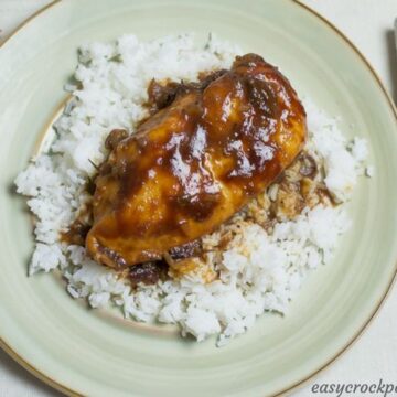 BBQ Cranberry Chicken slow cooker recipe