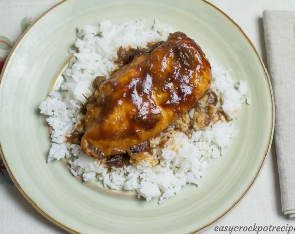 BBQ Cranberry Chicken slow cooker recipe